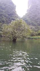 received_1549758875036240