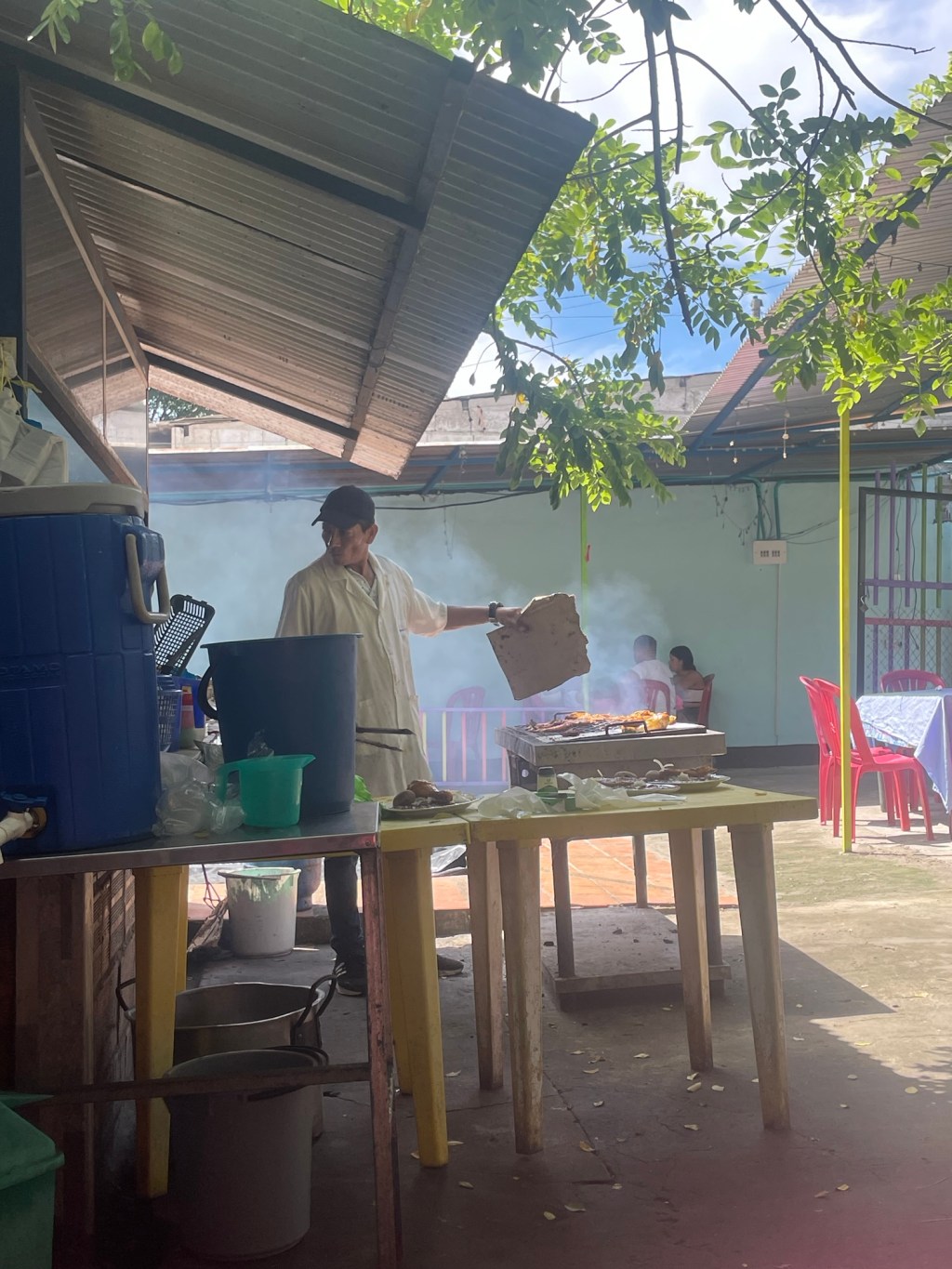 A Splendid Chaos: English Teaching and Cat Mothering in the Colombian Andes